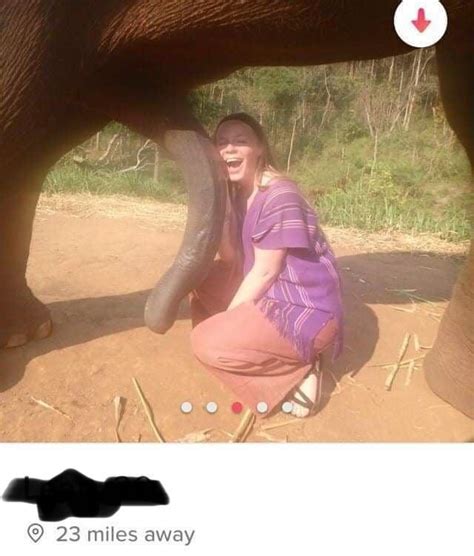 Elephant cumshots